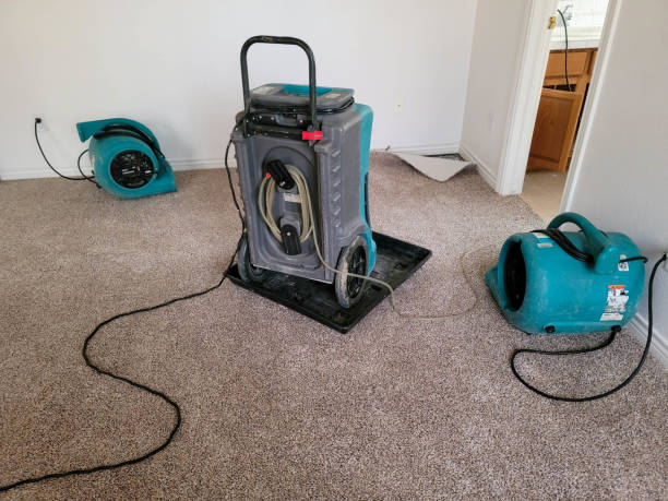 Best Emergency water damage restoration  in Maple Park, IL