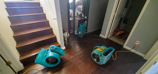 Best Water damage restoration near me  in Maple Park, IL