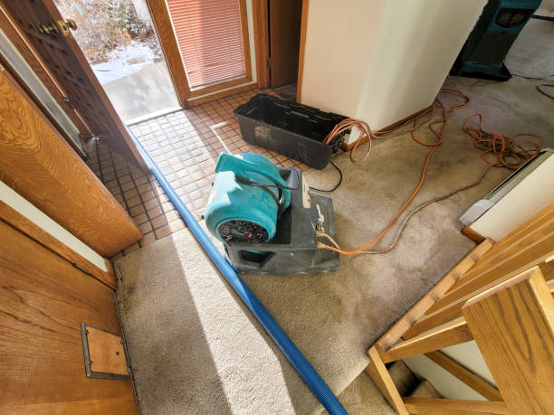Best Water damage mitigation services  in Maple Park, IL
