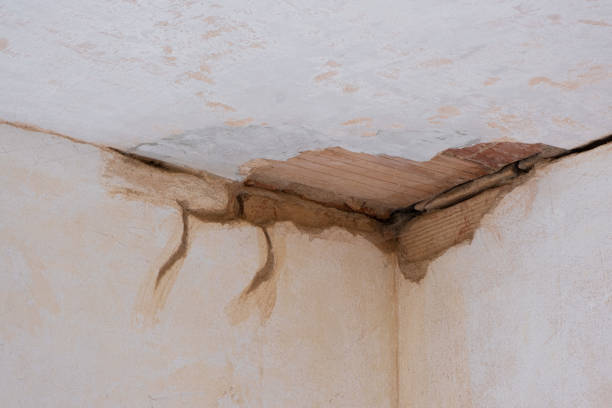 Best 24-hour water damage restoration  in Maple Park, IL