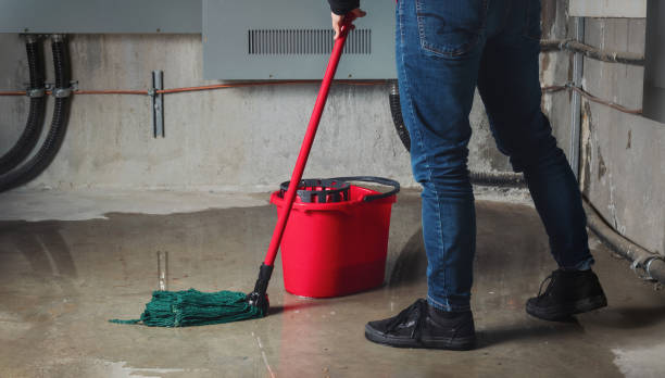 Best Fire Damage Restoration  in Maple Park, IL