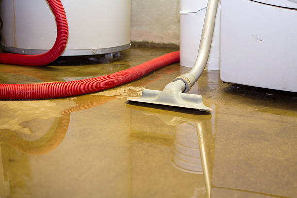 Best Local water damage restoration  in Maple Park, IL