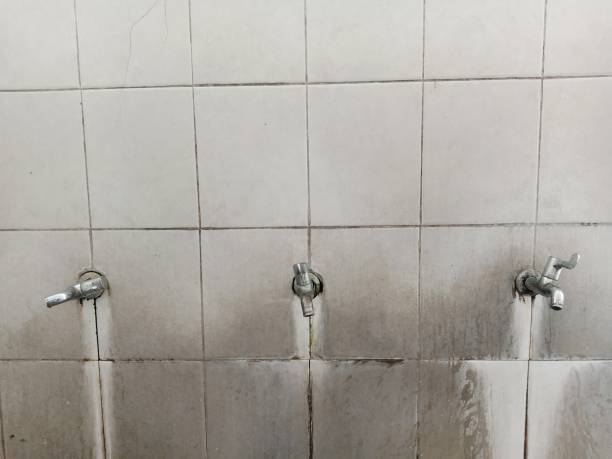 Best Sewage cleanup and water damage restoration  in Maple Park, IL