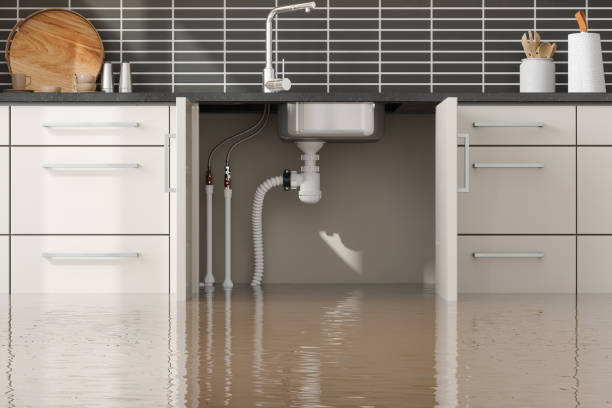 Best Ceiling water damage repair  in Maple Park, IL