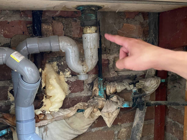 Best 24/7 water damage repair  in Maple Park, IL