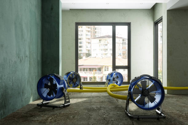 Best Water damage restoration company  in Maple Park, IL
